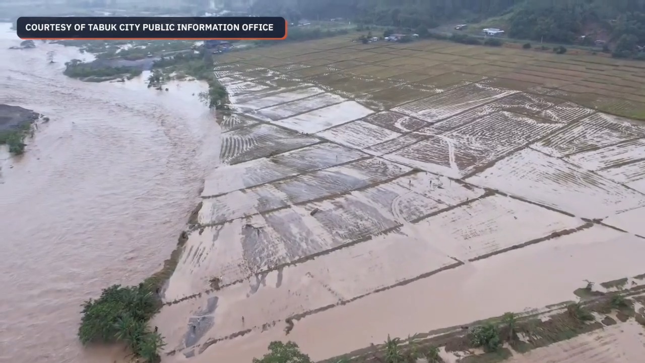 Rice fields flooded in Tabuk City, Kalinga WATCH: Rice fields in ...
