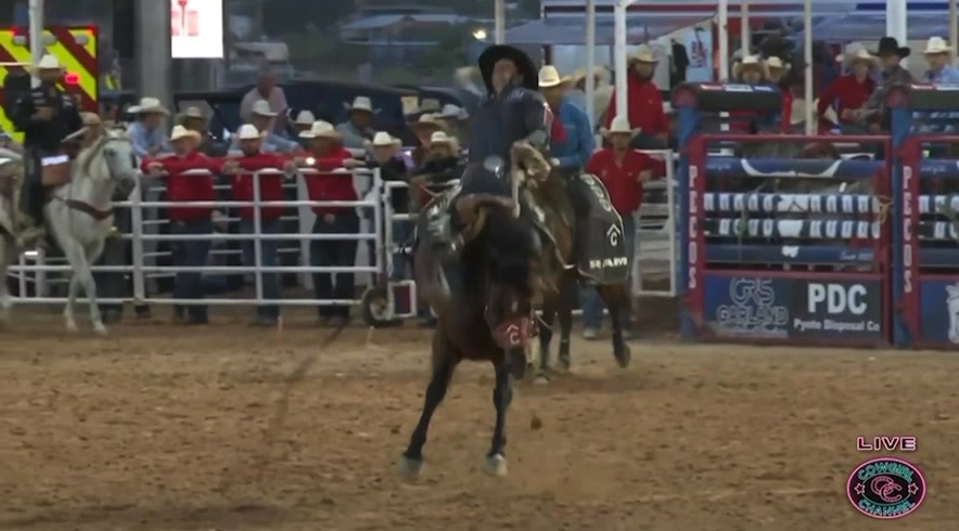 91 points on “Dirty Roots” of Pete Carr Pro Rodeo at West of the Pecos ...