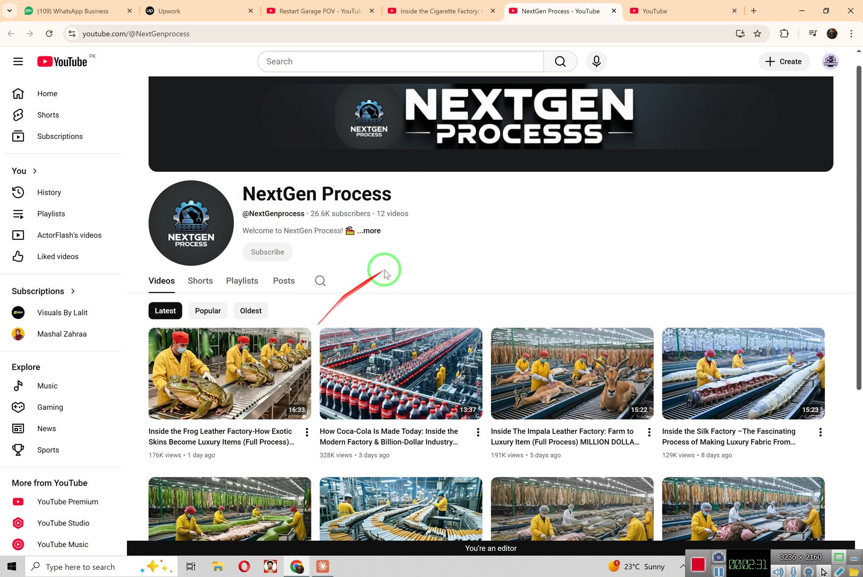 Make Money WIth This Ai Nich | Videos Made Voe 3 Use Chatgpt For Ideas ...