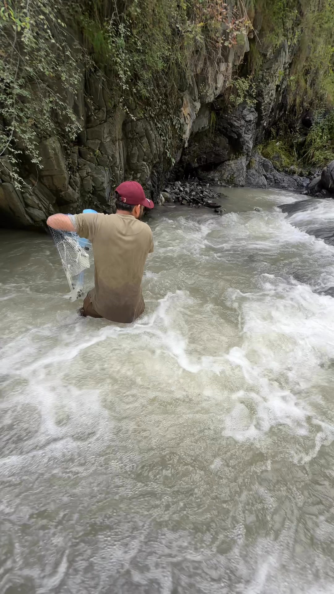 Two fish in single cast #fishing #fishingequipment | Net Fishing with ...
