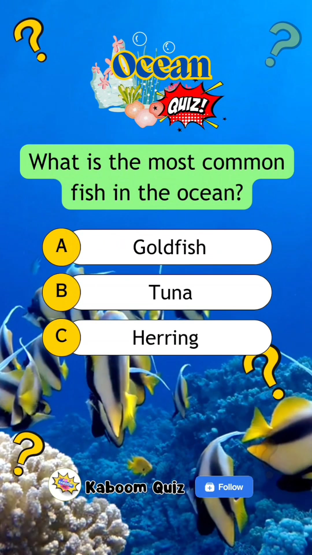 What fish is that? #quiz #quiztime #quizreels #popquiz #triviaquiz # ...
