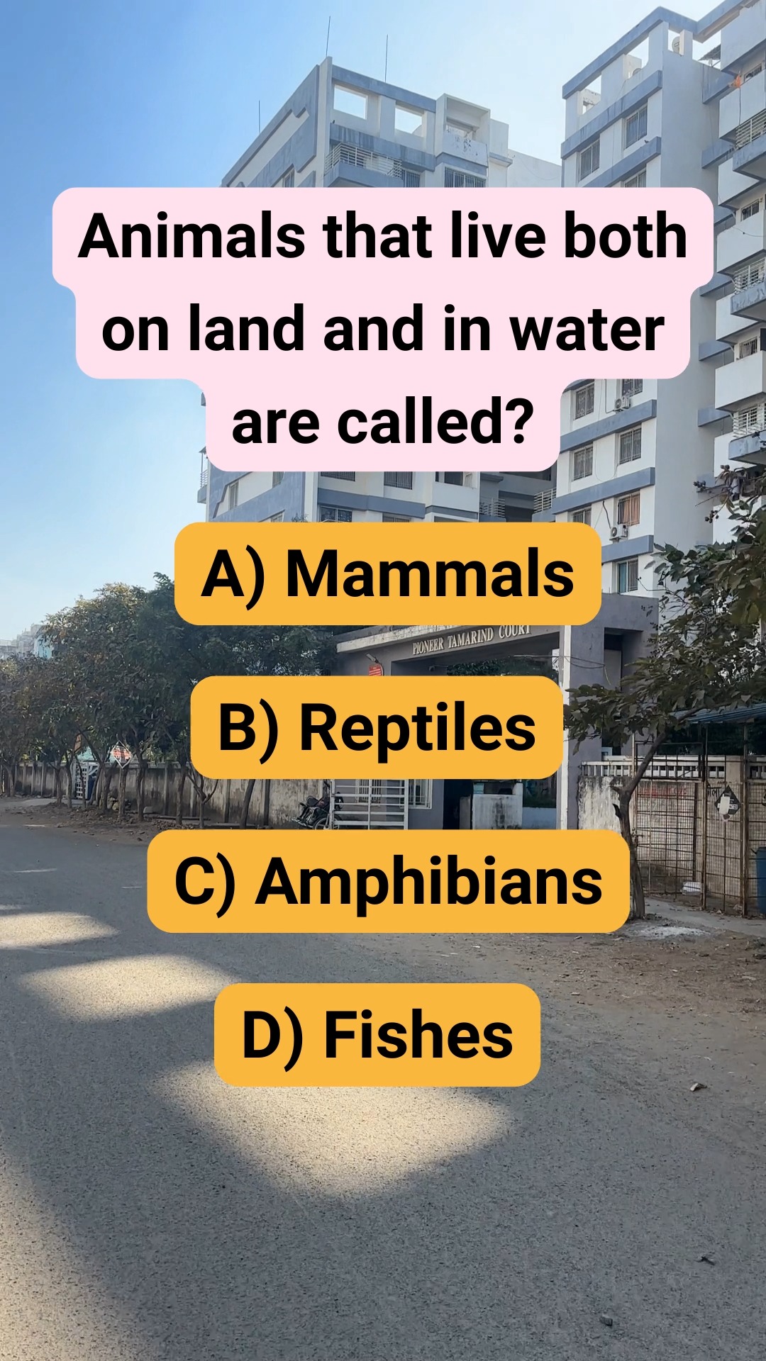 Animals that live both on land and in water are called?🤨 #brainteaser # ...