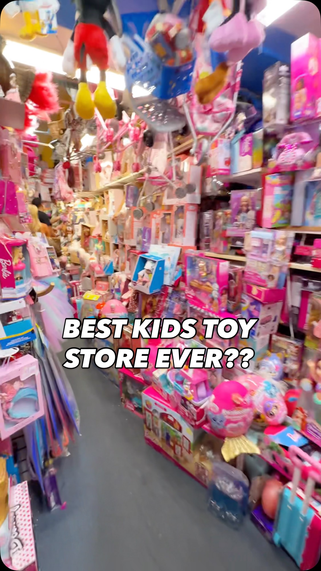 Best toy store ever?! They had everything! We found this little