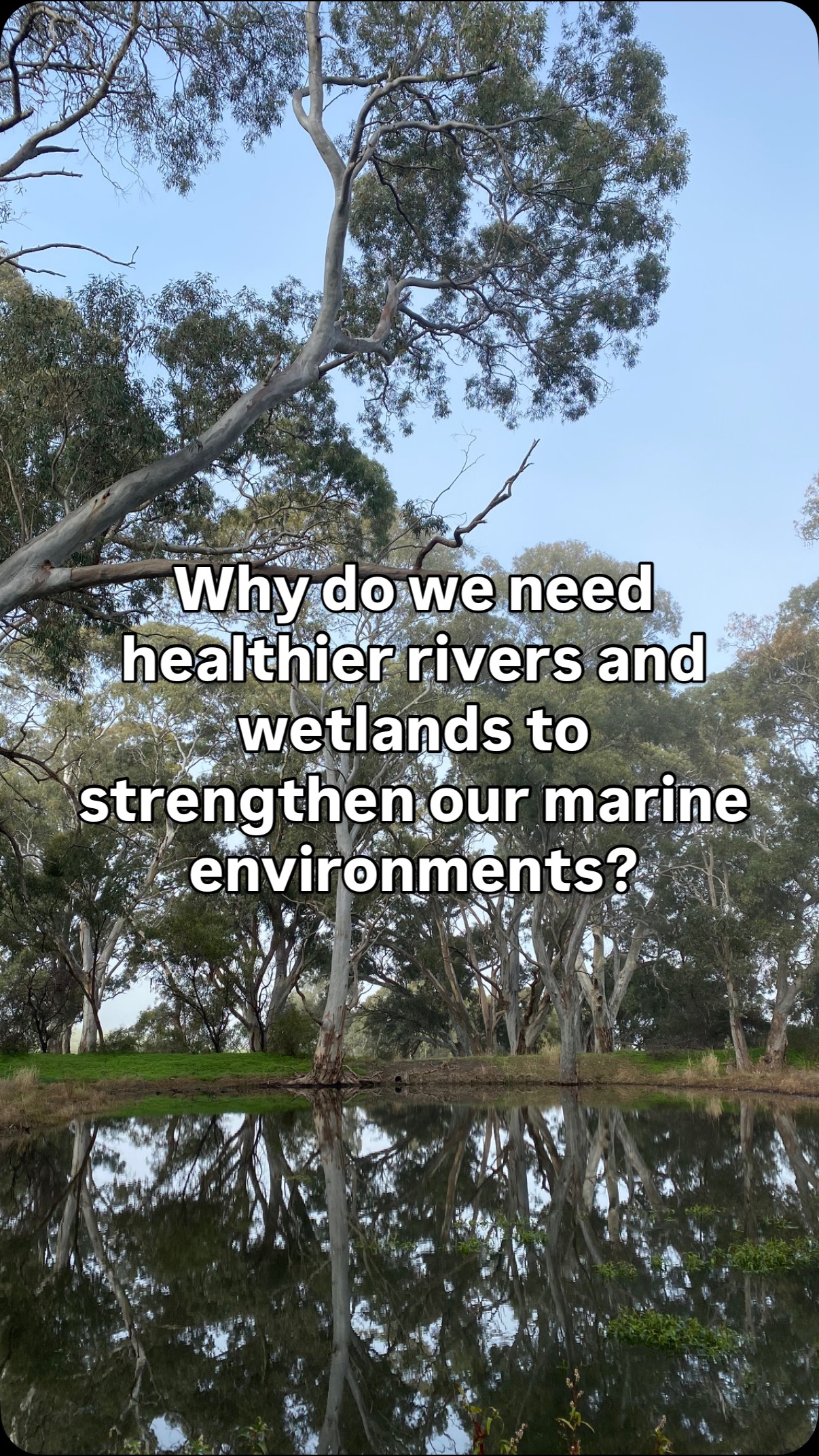 Rivers connect land to sea. Right now to many of South Australia’s ...