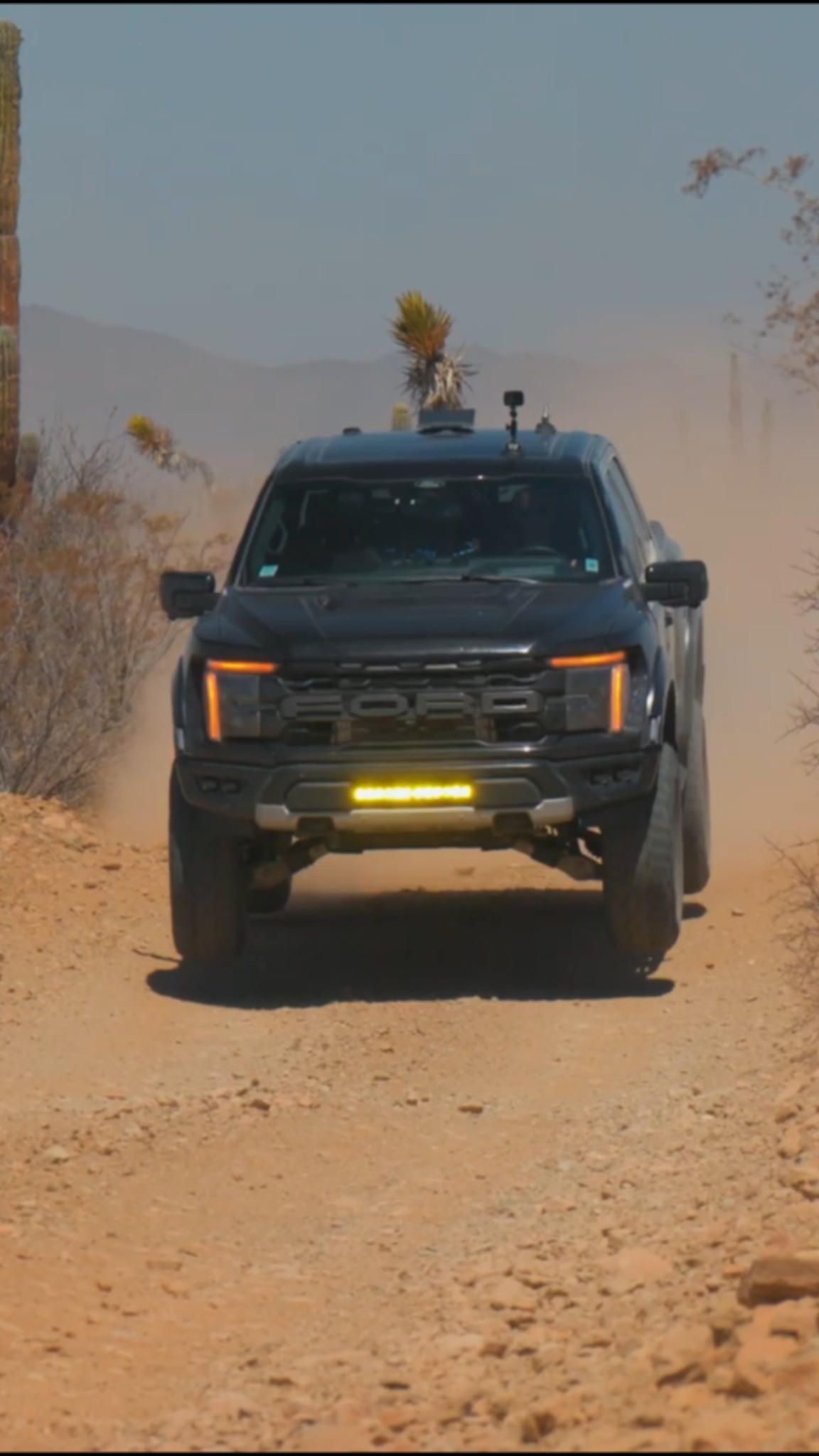 Come be a part of the Baja Raptor Run family | Texas Raptor Runs | Facebook