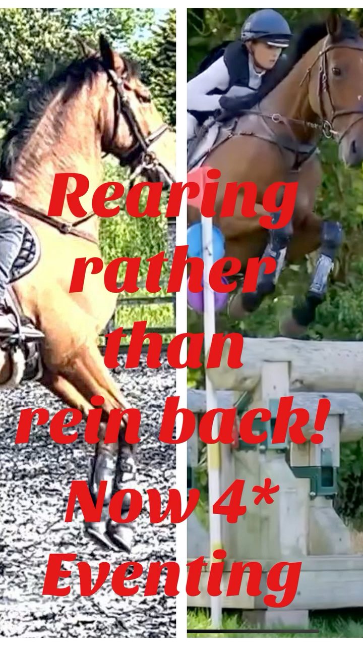 rearing-rather-than-rein-back-horses-rear-for-many-different-reasons