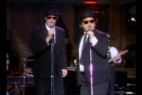 ハミルトン ブルース・ブラザーズ サタデーナイトライヴ Blues Brothers 