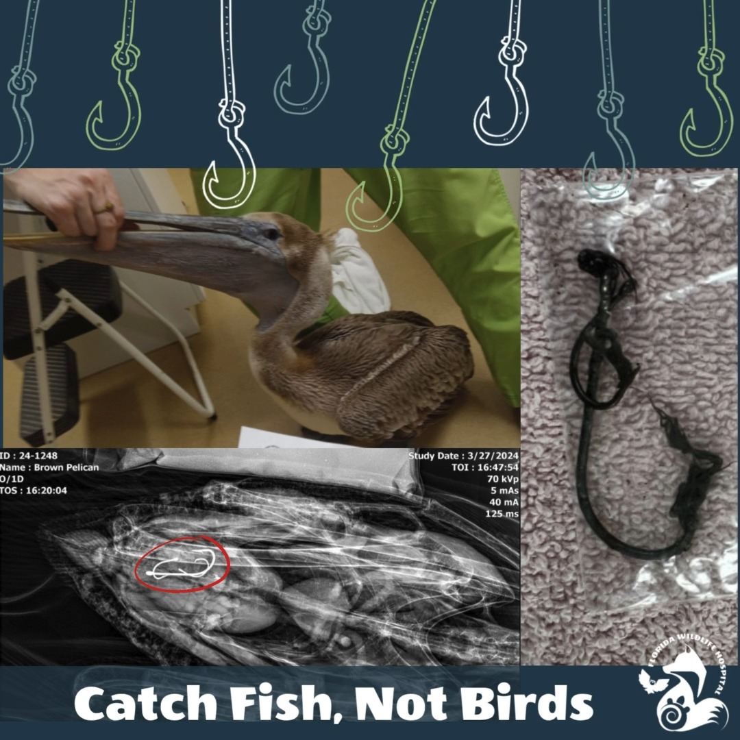 fishing rod holders for air travel Fly Holder Indian Reels JG25 Black Recognized as the 2026 Fly reel Color:Black Sucker
