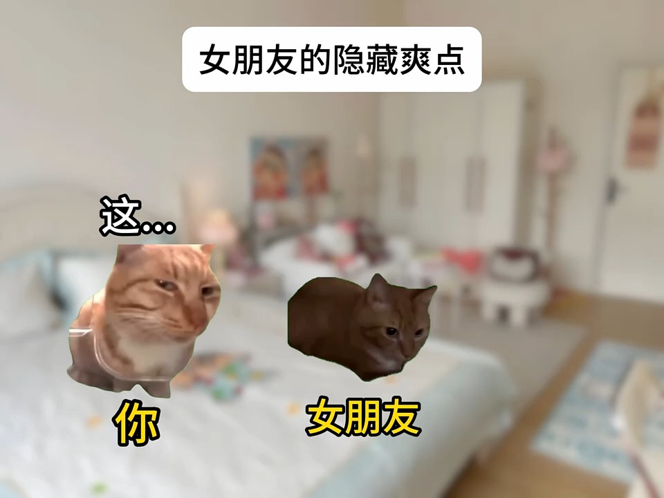 女朋友的隐藏爽点 . . . . #猫meme #00后 #真实还原 #搞笑 #猫meme小剧场 #万万没想到 #内容过于真实 #funny ...
