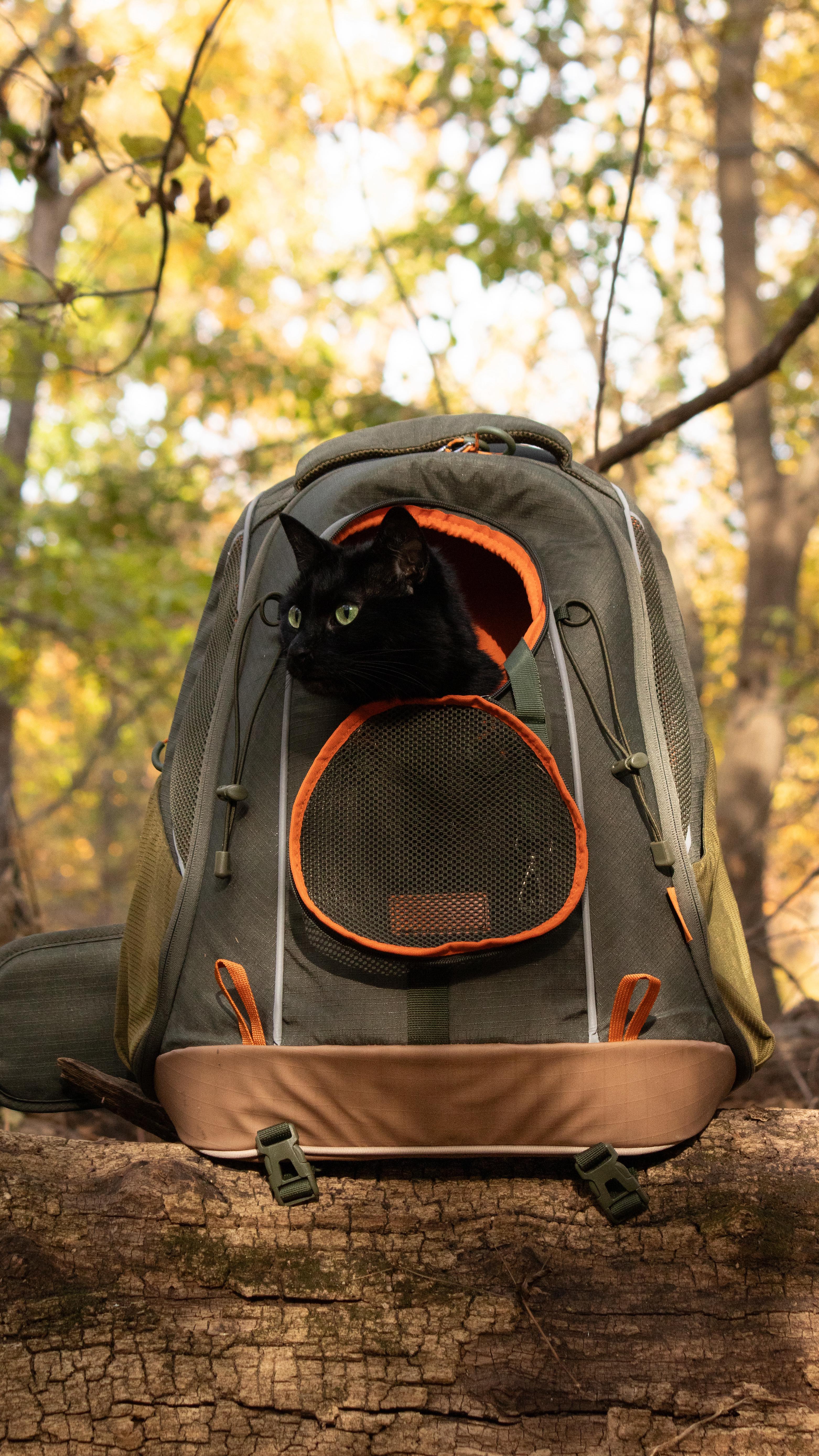patagonia refugio backpack 1709cu Daypack 26L Material_HORN Model:SSVII6500LL HOMEMADE POLE HOLDER FOR Equipped with a hydration
