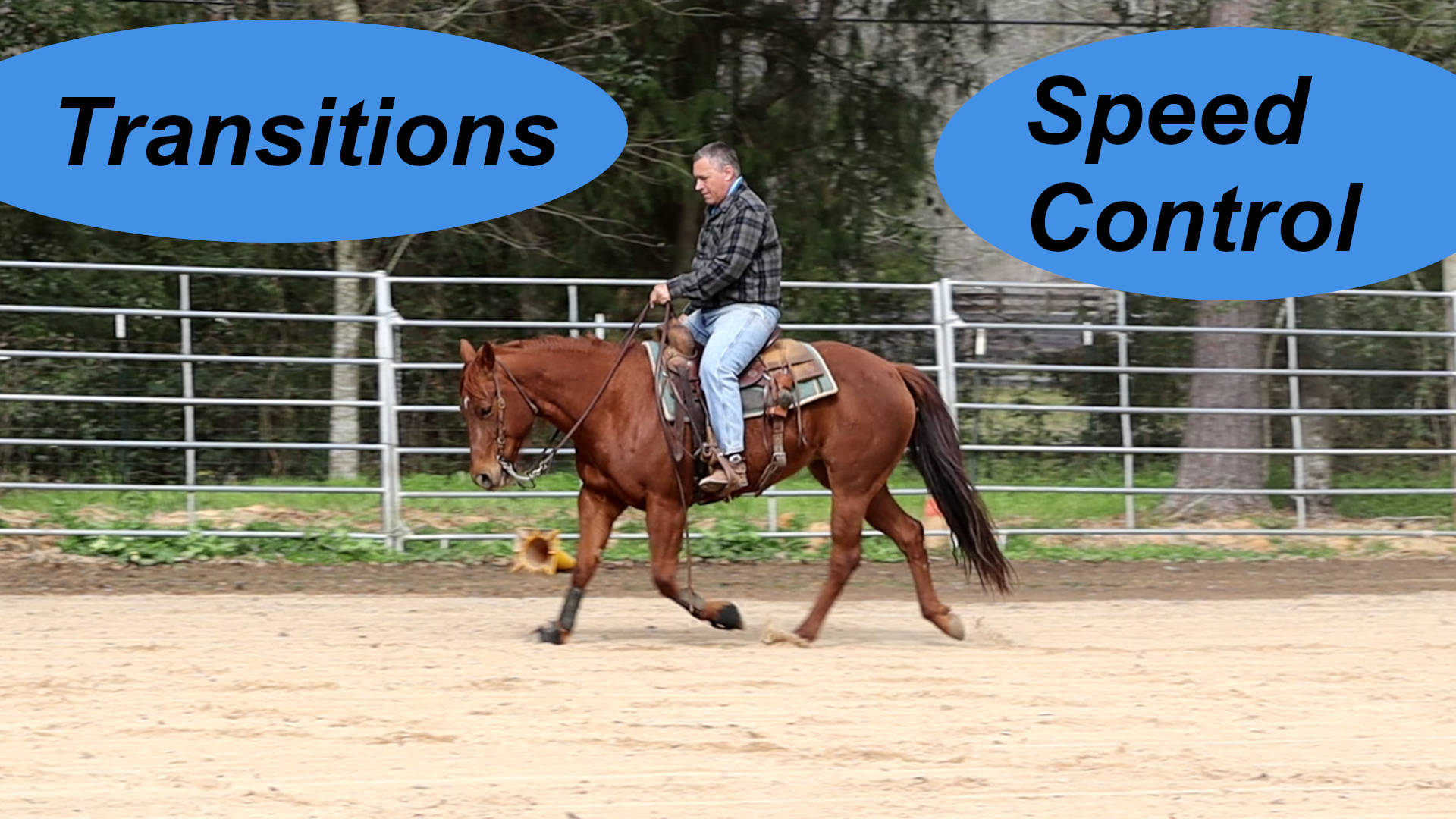 This restart is going to be tough | horse, pasture | After standing in ... - Finishing Horse Training After Excessive Grazing
