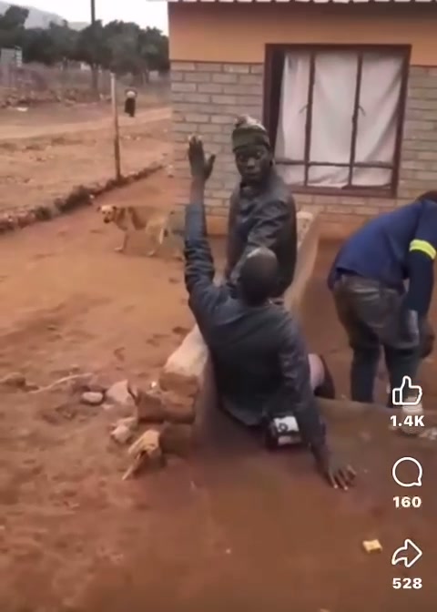 Erh Halwa hukho ambiwa mahafhe? 😭😂😂😩 | Vha Bee | Facebook