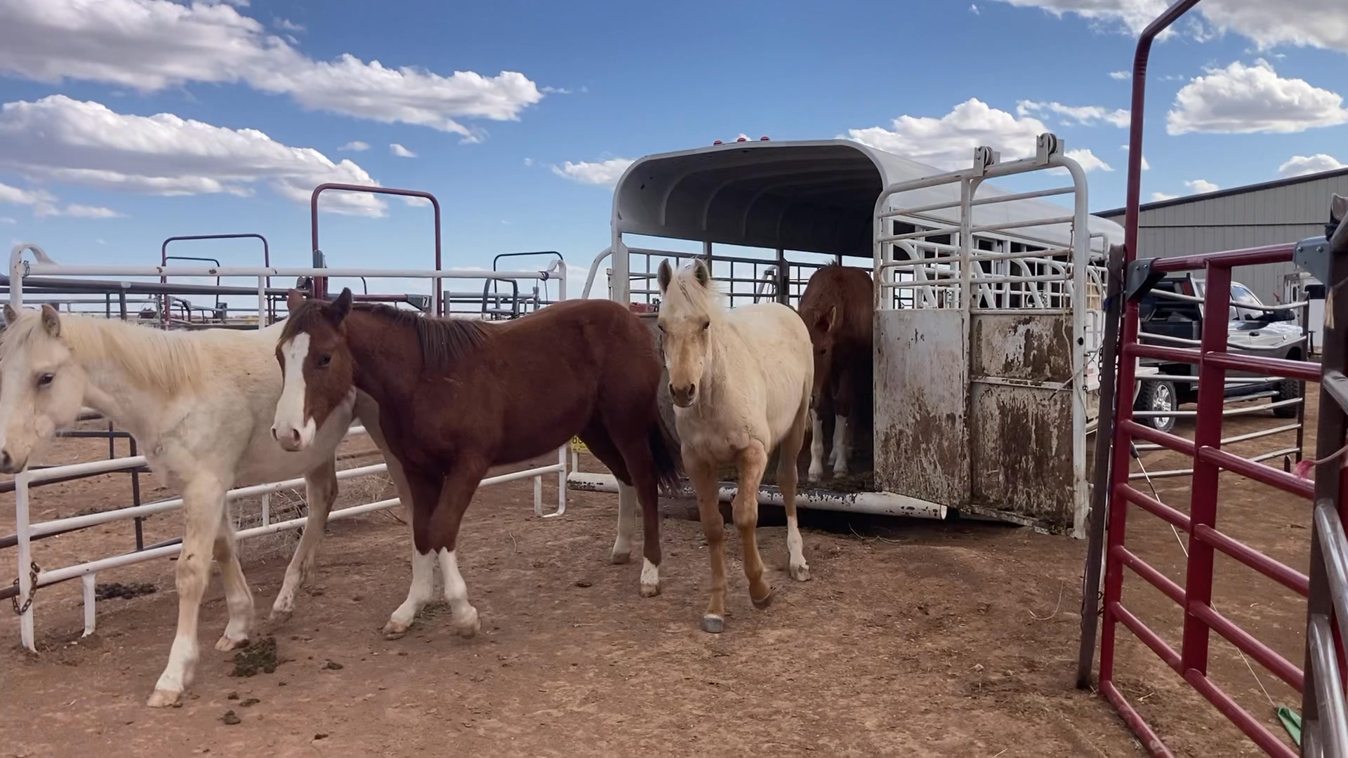 Singleton Ranches | Facebook