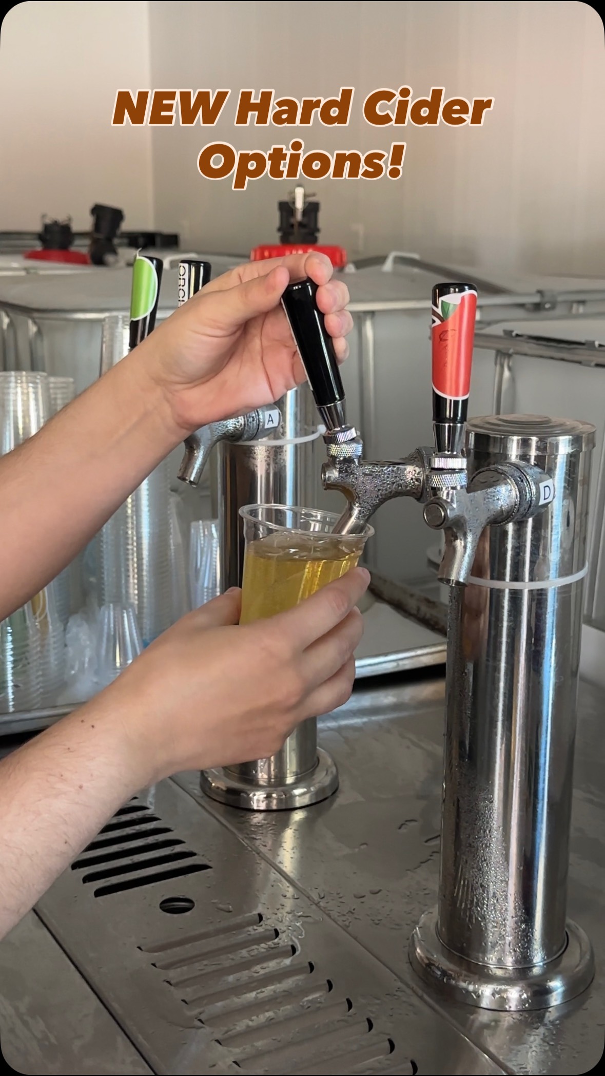 We have 2 new hard cider options available at Weber’s Hard Cidery ...