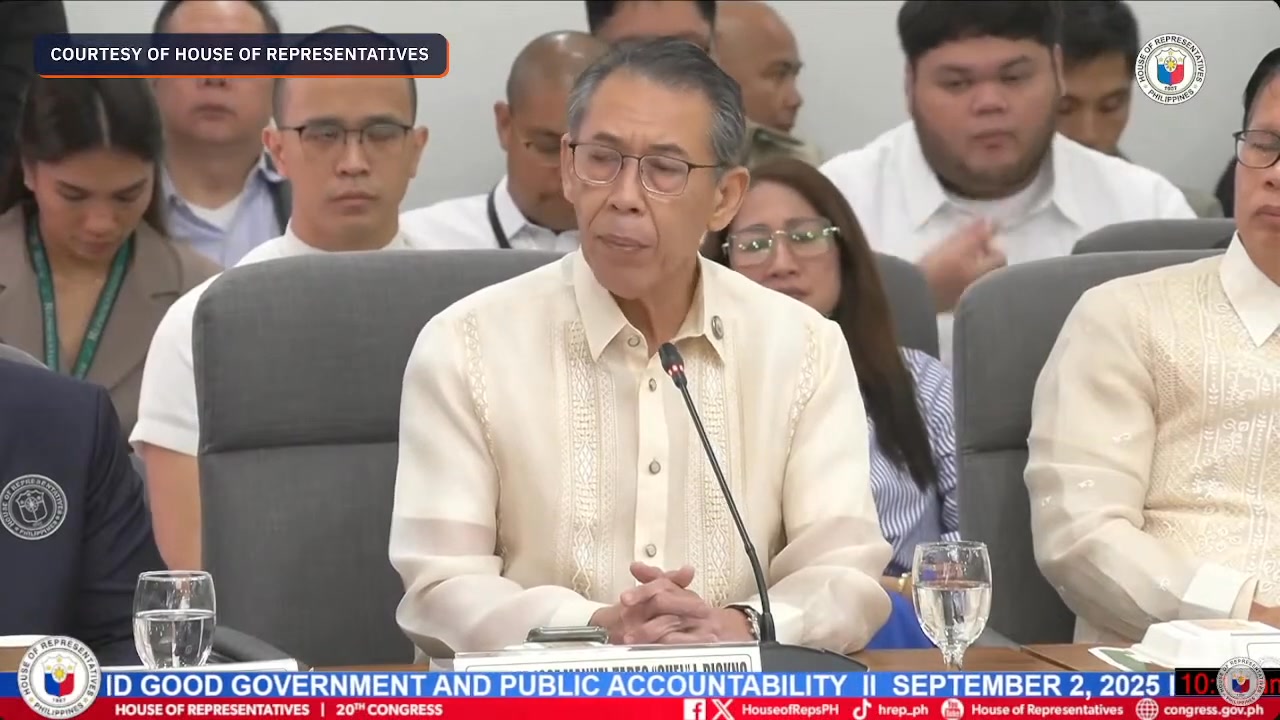 WATCH: Akbayan Representative Chel Diokno notes allegations that dozens ...