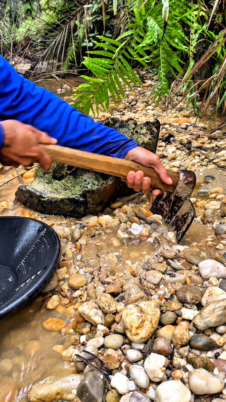 Gold Was Literally Piled Up Under This Old River Tree Stump 😱”# ...