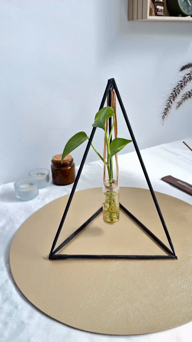 Diy triangle propagation holder 🌱 Save for later and follow for more ...