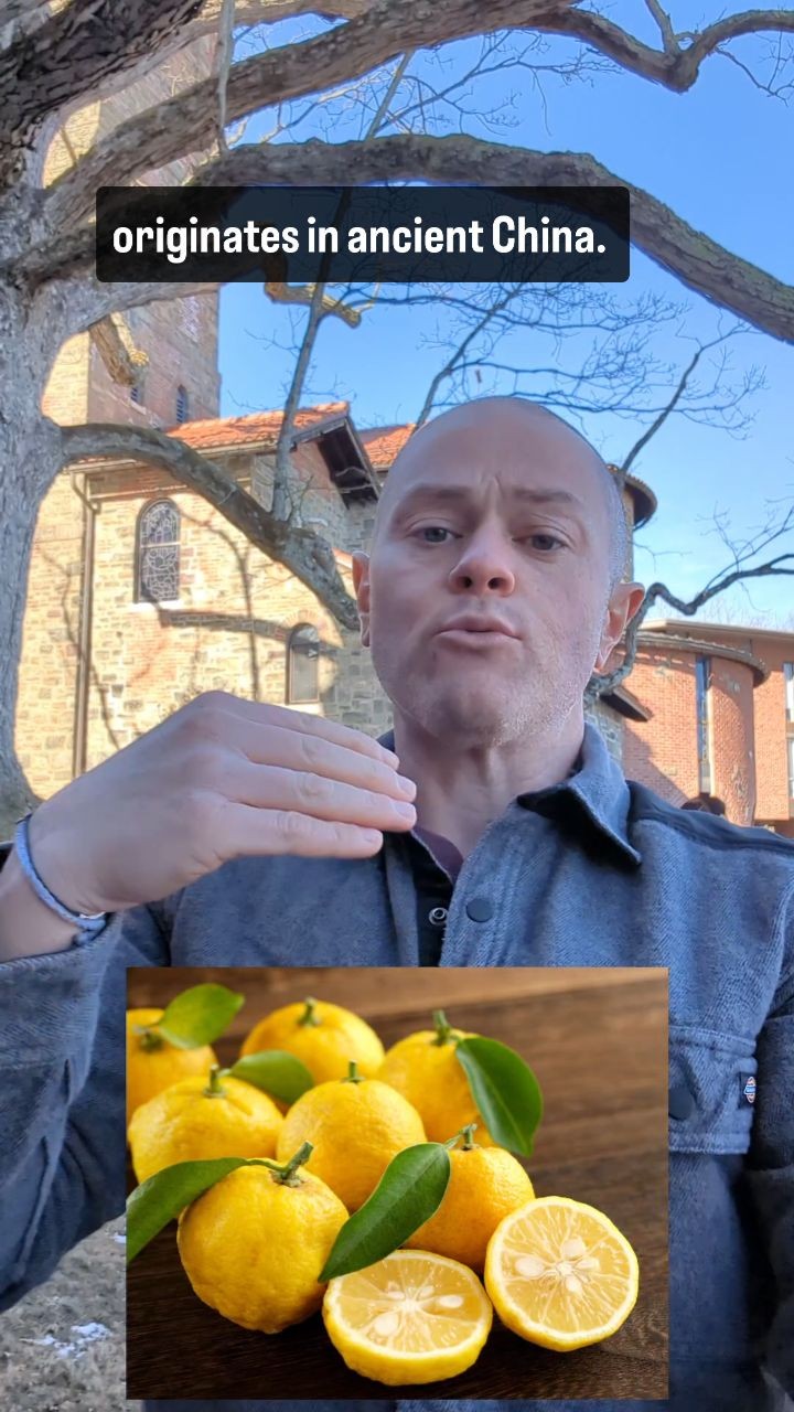what is yuzu? #yuzu #citrus #lemon #fruit | Bob Morano