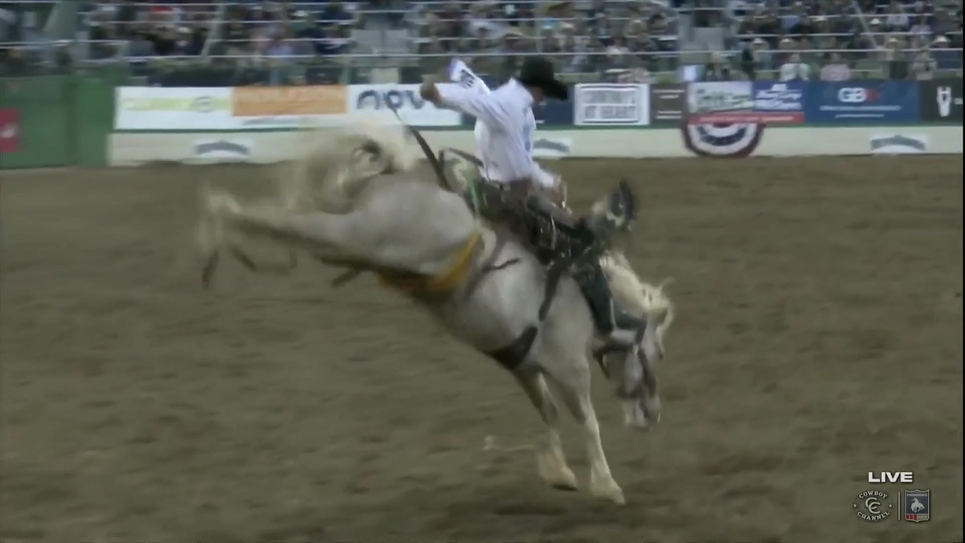 Cash Wilson, the Badlands Circuit Champ, lights up Reno with an 88.5 ...