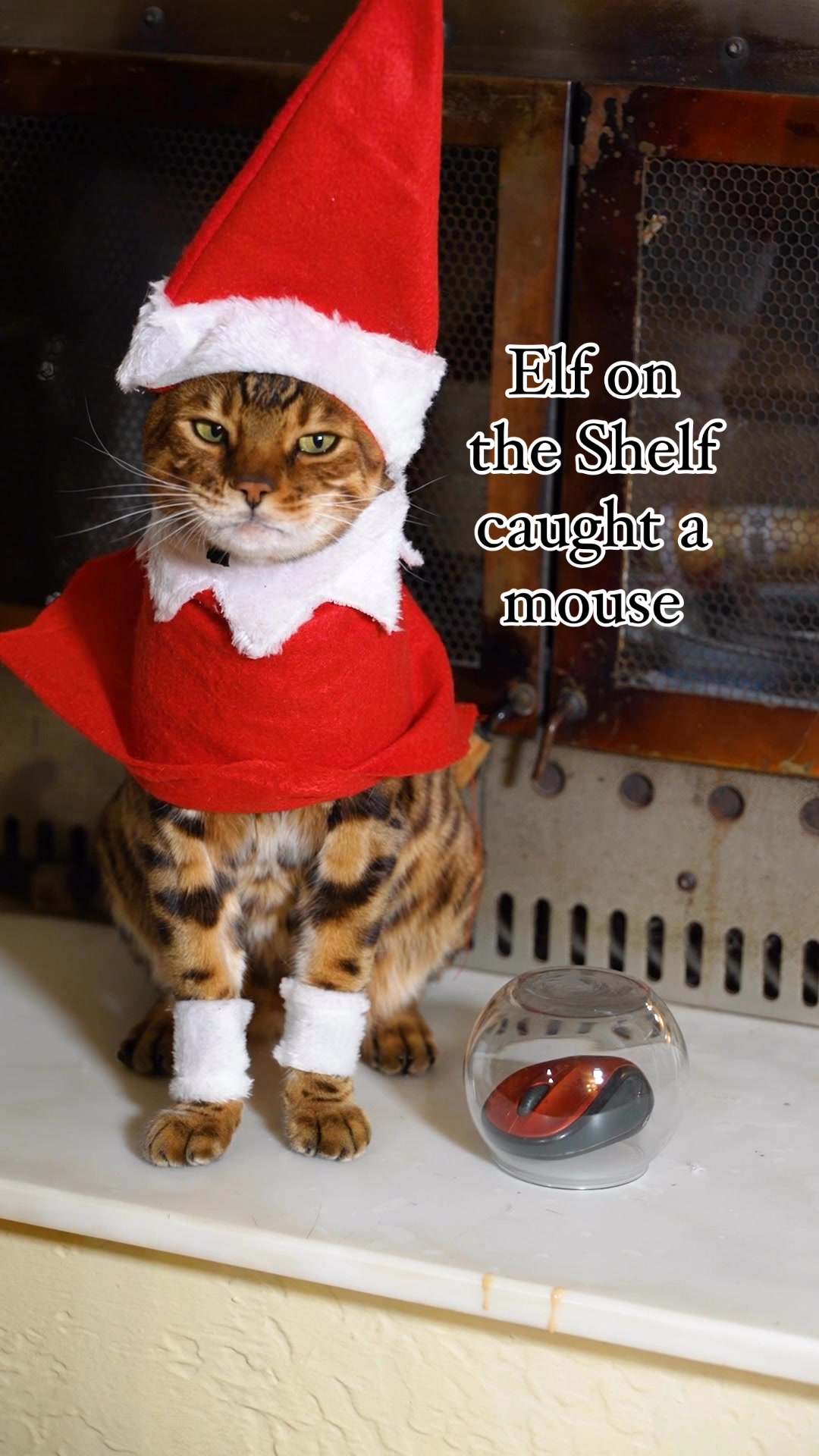 This Elf on a Shelf caught a mouse. #fblifestyle #elfontheshelfideas # ...