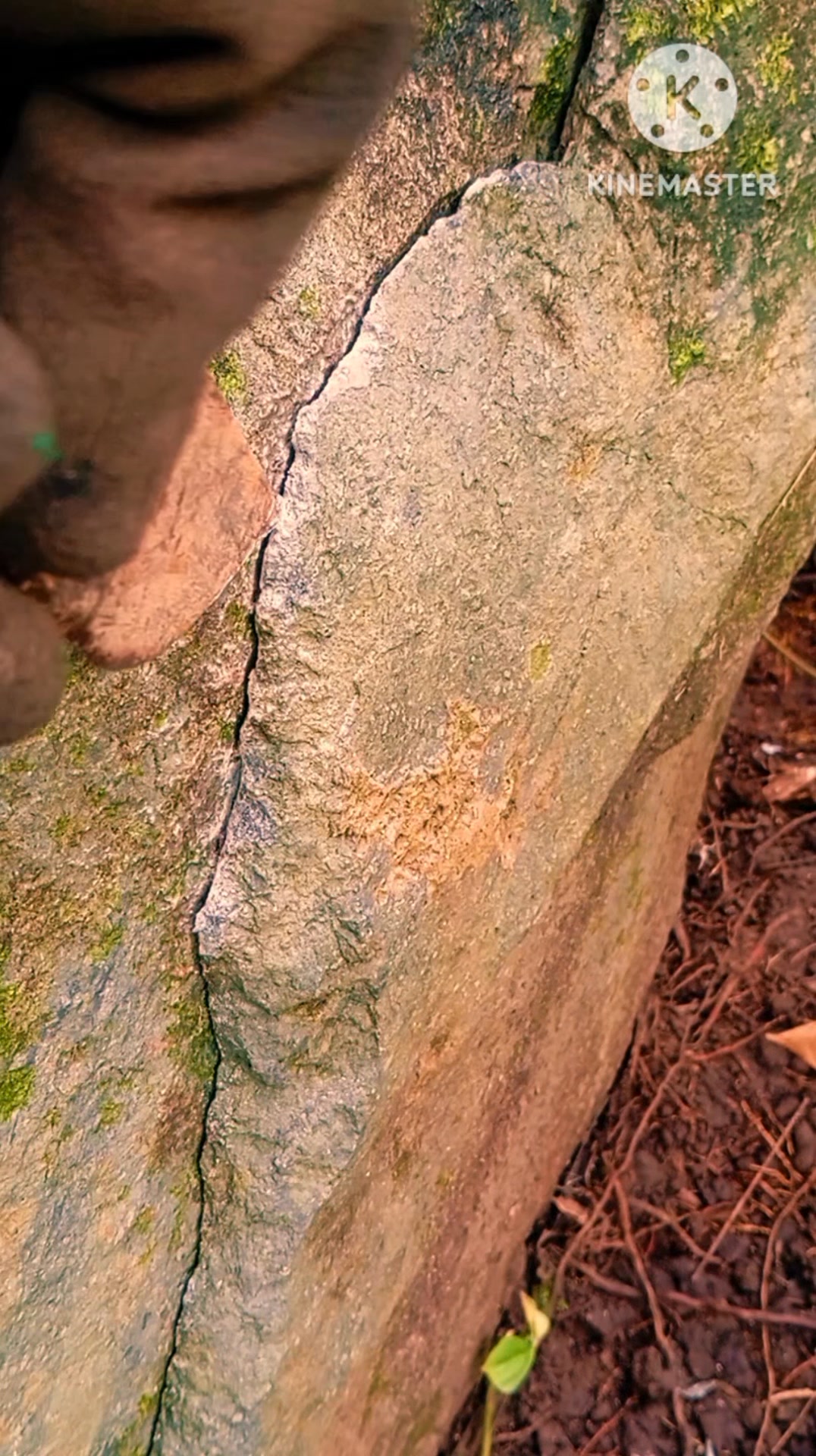 Treasure hunt slowly remove first layer coated rock markings #fbreels # ...