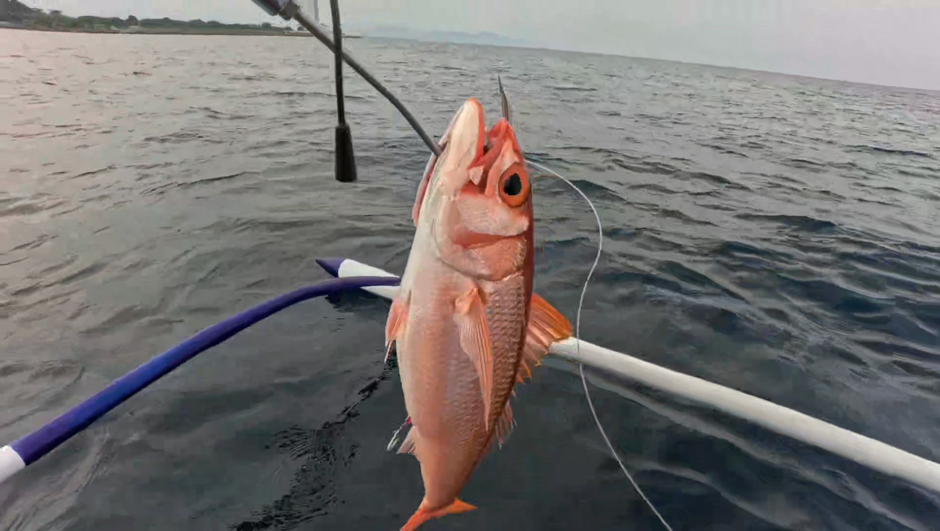 50's fishing pole Cat Tamer Spinning Combos stainless steel hook keeper Fishing Lure Daiwa Gekkabijin Mioshimui
