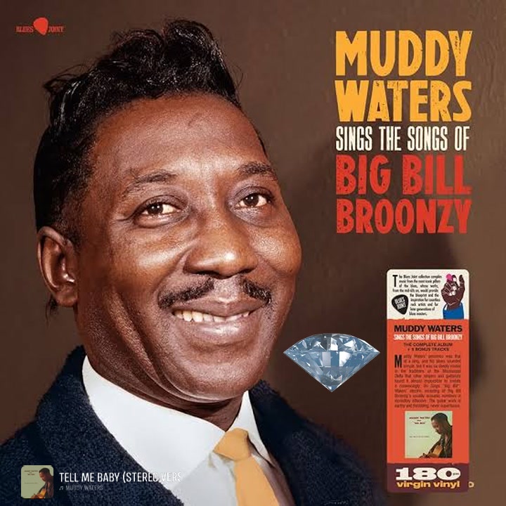 Muddy Waters sings Big Bill! A powerful album created by Muddy