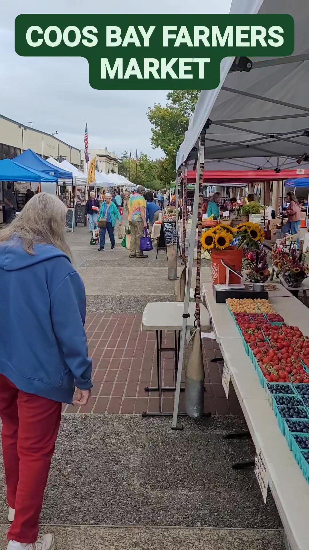 Sitemapcdatahttpautocellcare1comfacebook Marketplace Coos Bay