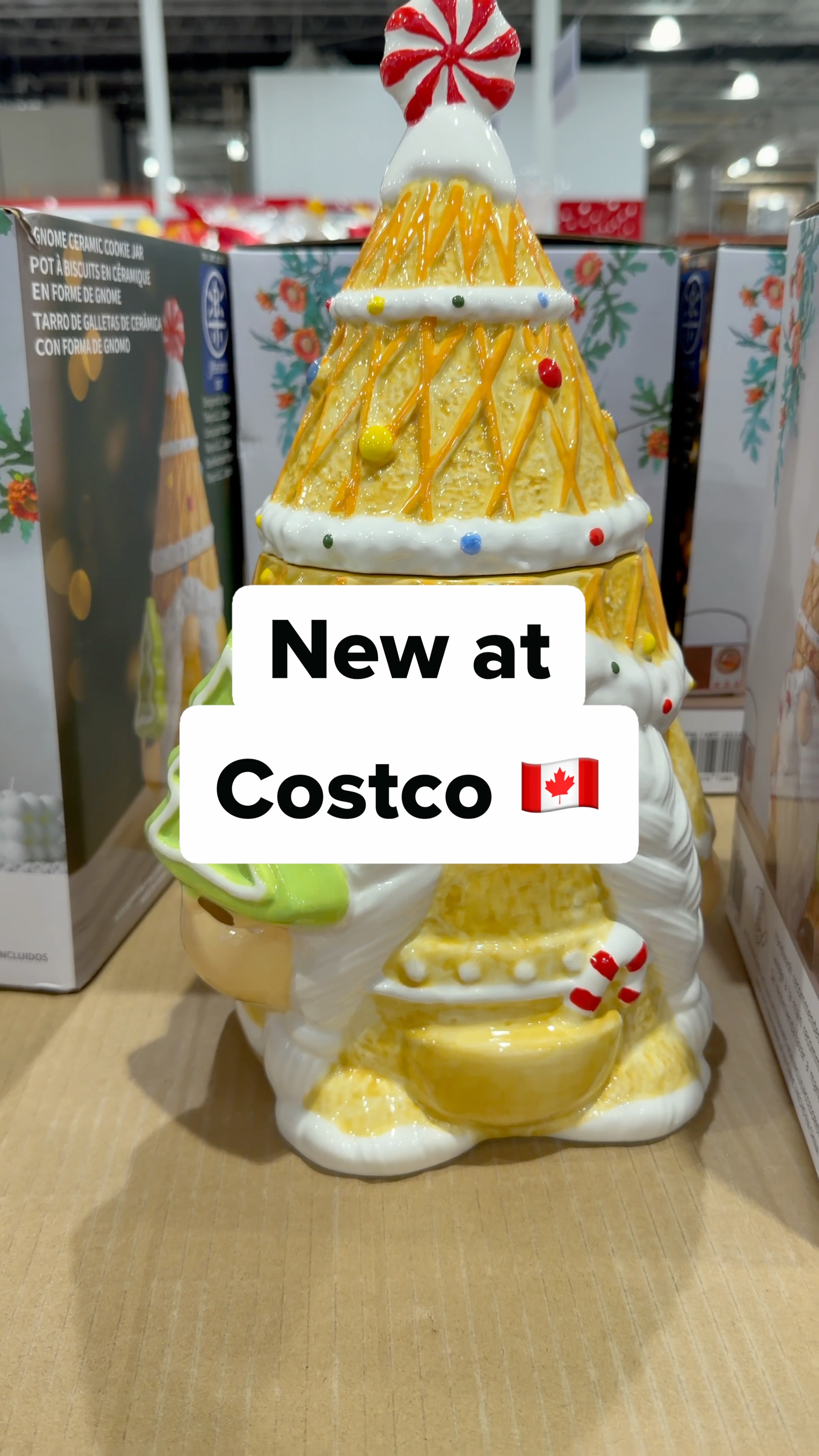 Ceramic Gnome Cookie Jar at Costco! 🤩 It's so cute!! Two styles