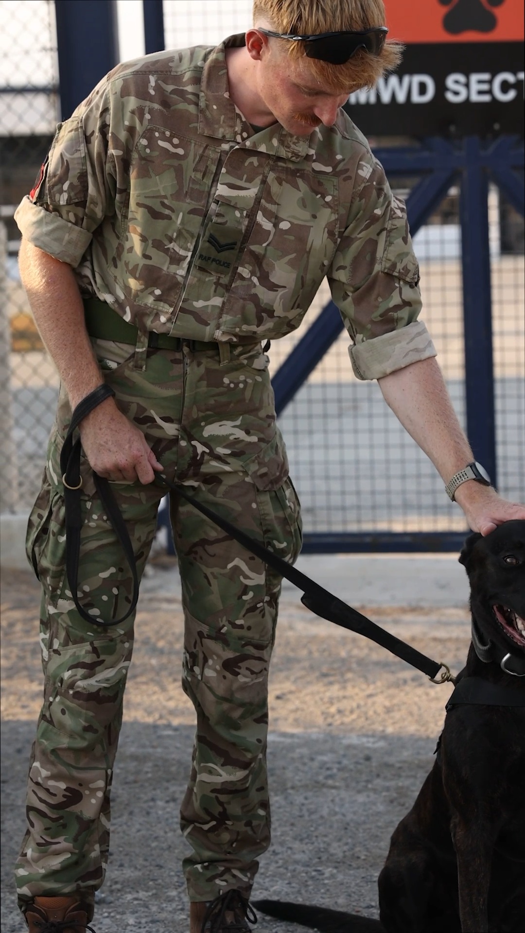 Two Military Working Dog teams from RAF Akrotiri will be competing in ...