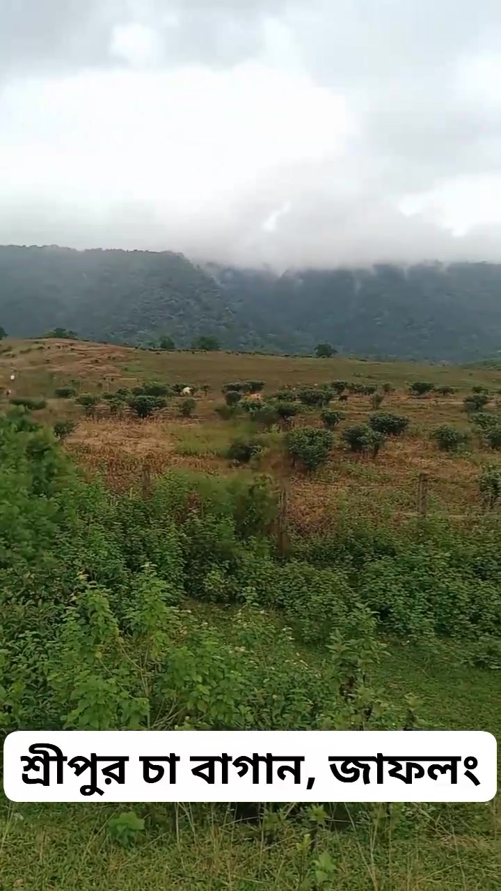 ইয়াকুব আলী