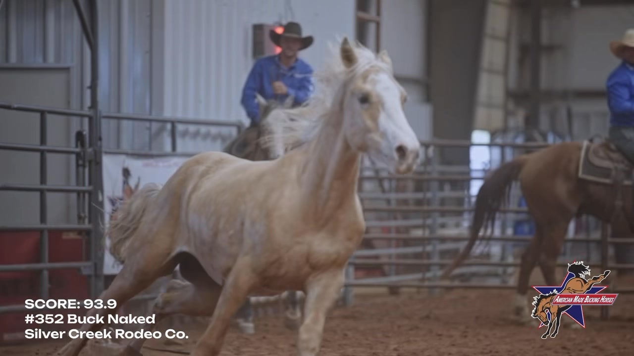 352 Buck Naked (Silver Creek Rodeo) posted a score of 93.90 points at ...