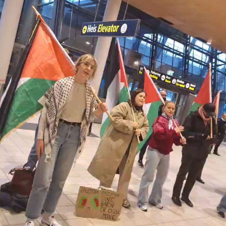 Palestinakomiteen Trøndelag on Reels | Facebook
