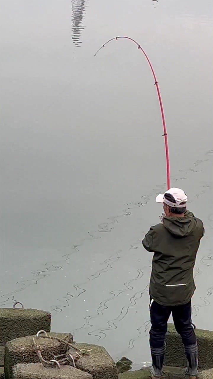 李旺杰 on Reels | Facebook