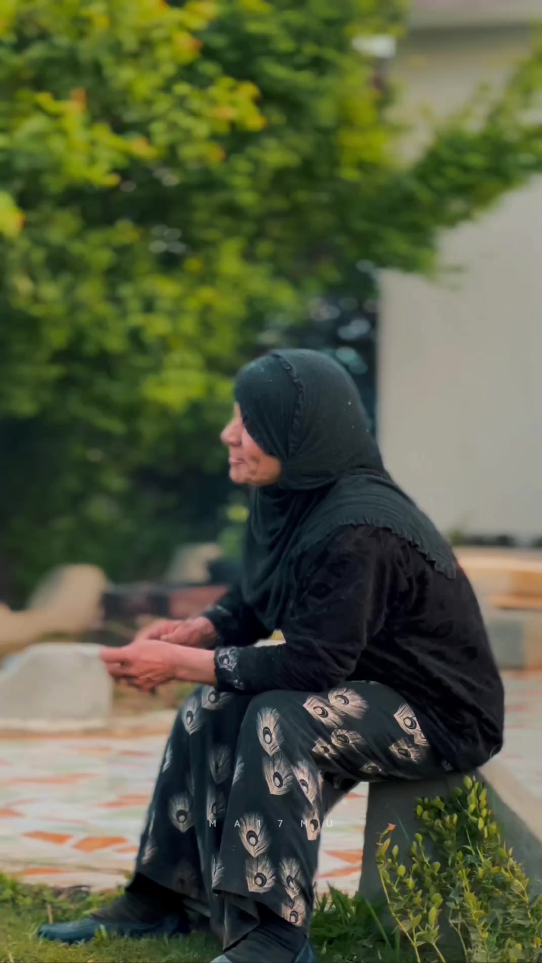 مقتطف للحجيه | قصي الملك | Facebook