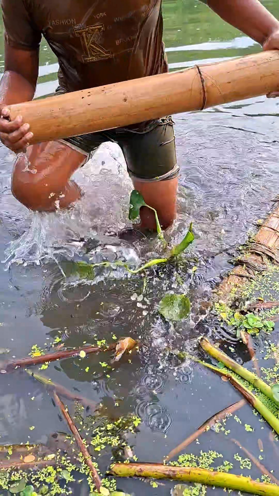 Amazing Boy Catching Many Fish By Bamboo Fishing Trap #reelsvideo # ...