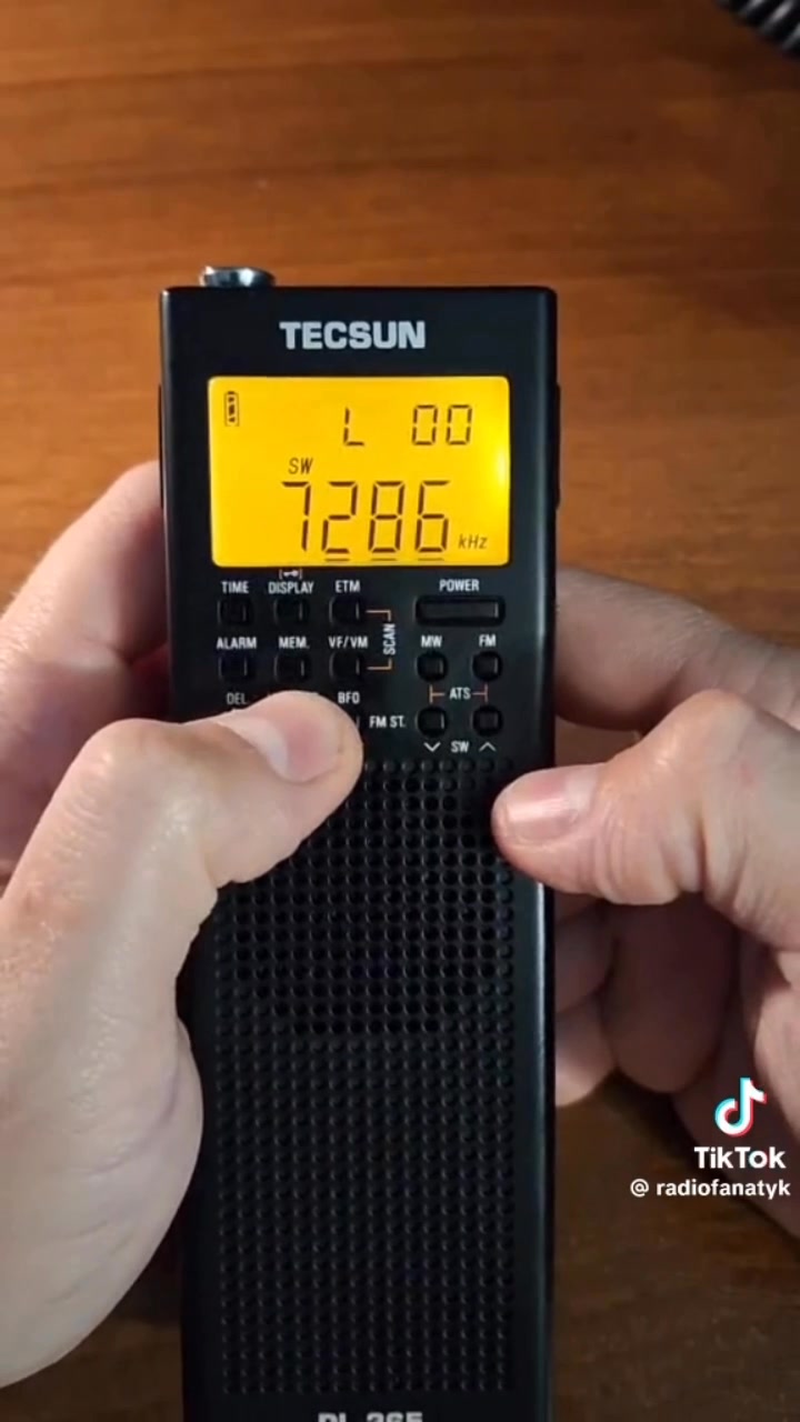 Small, discreet and can really do a lot! Tecsun PL-365 is a