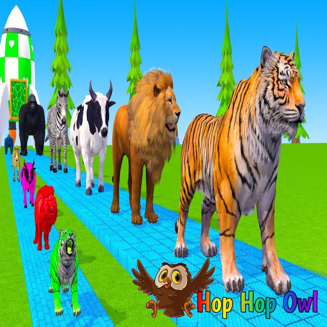 Hop Hop the Owl - Learn Colors - Nursery Rhymes