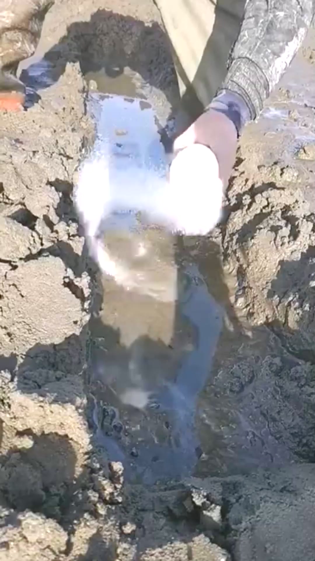 best fishing video (chatching seafood crab Octopus fish eel )صيد سمك 🐟 ...