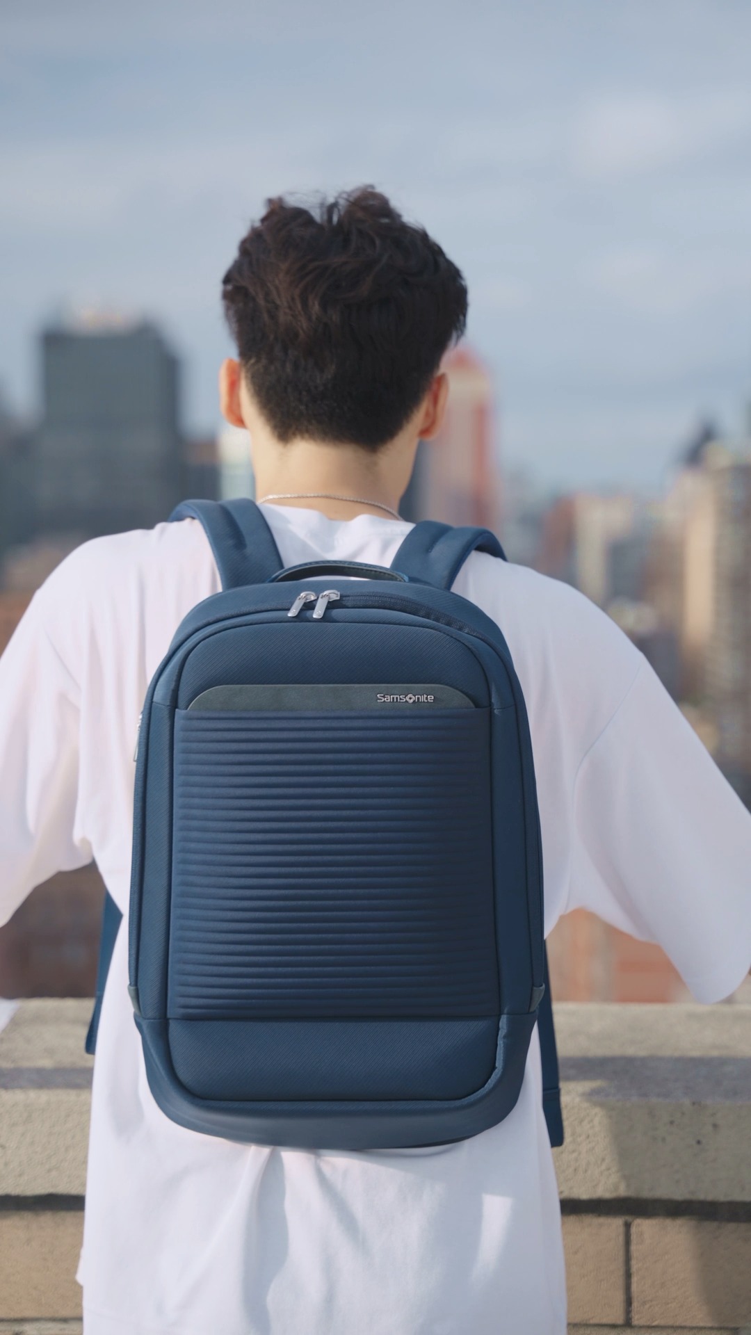 backpack travel singapore Buy Bagsmart Soar 180° Open Clamshell 25L Set in & Malaysia Buy Cabin Max Gold 20