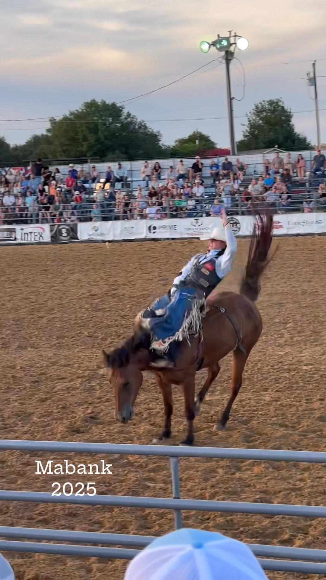 Kash Loyd Bareback Rider