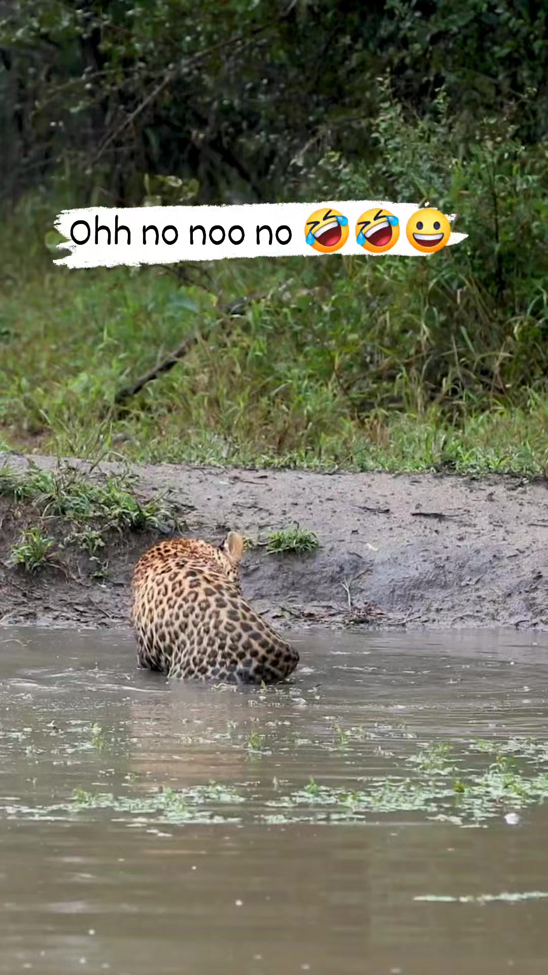 Oh no no no 😊🤣😀 #fbreelsfypシ゚viralfbreelsfypシ゚viral # ...