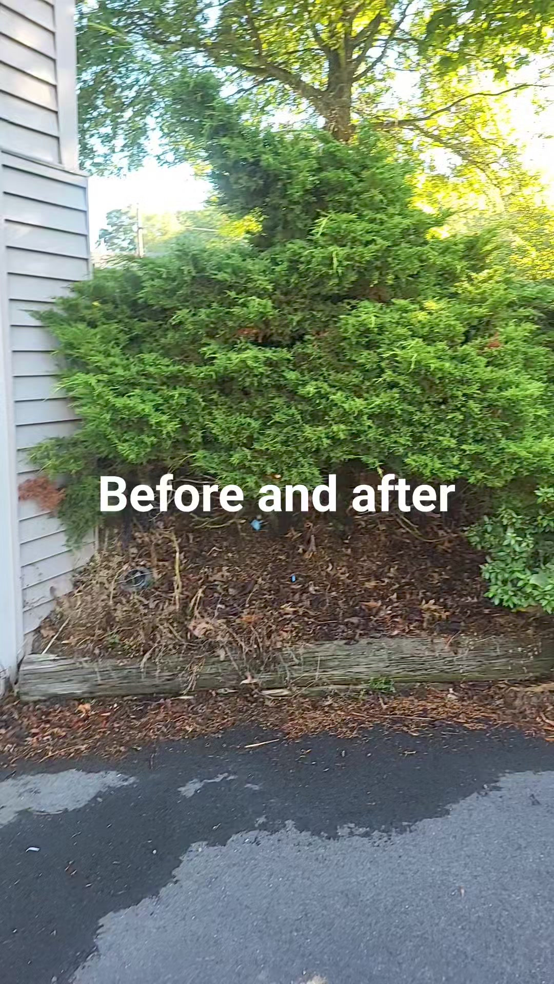 Retaining wall with precasted stone steps! Delaware River Rock to ...