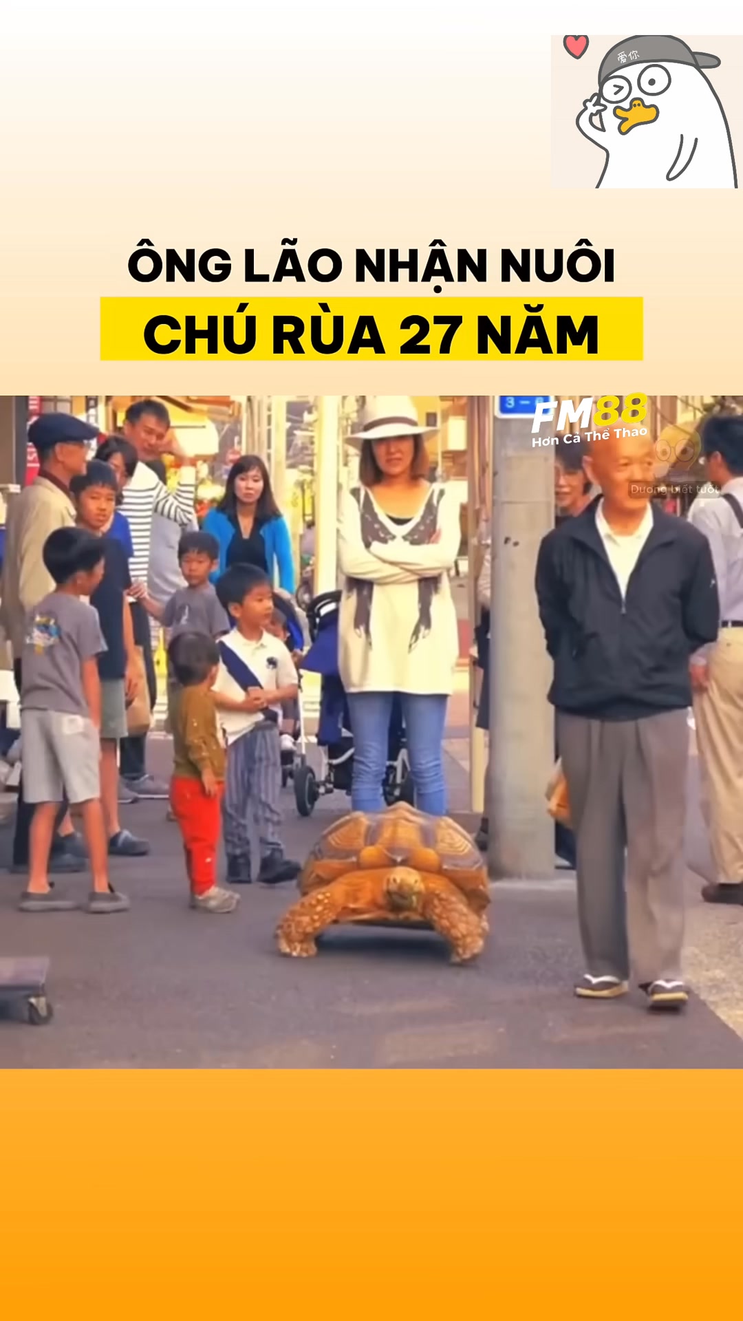 Ông lão nhận nuôi chú rùa 27 năm #vuive #videohaihuoc #troll #haihuoc # ...