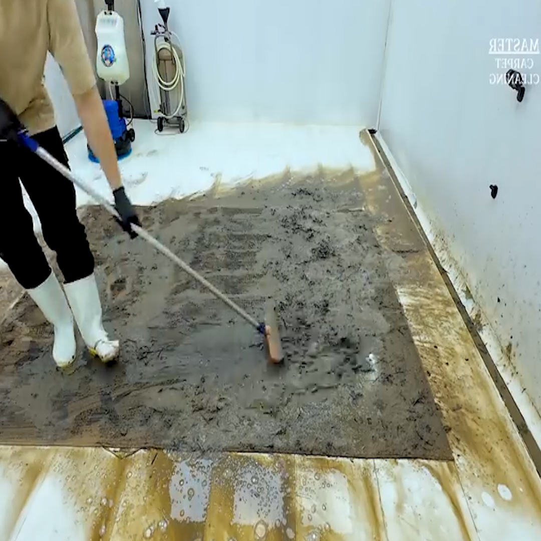 This Rug Left Behind At A Farm After Cleaning Will Surprise You # ...