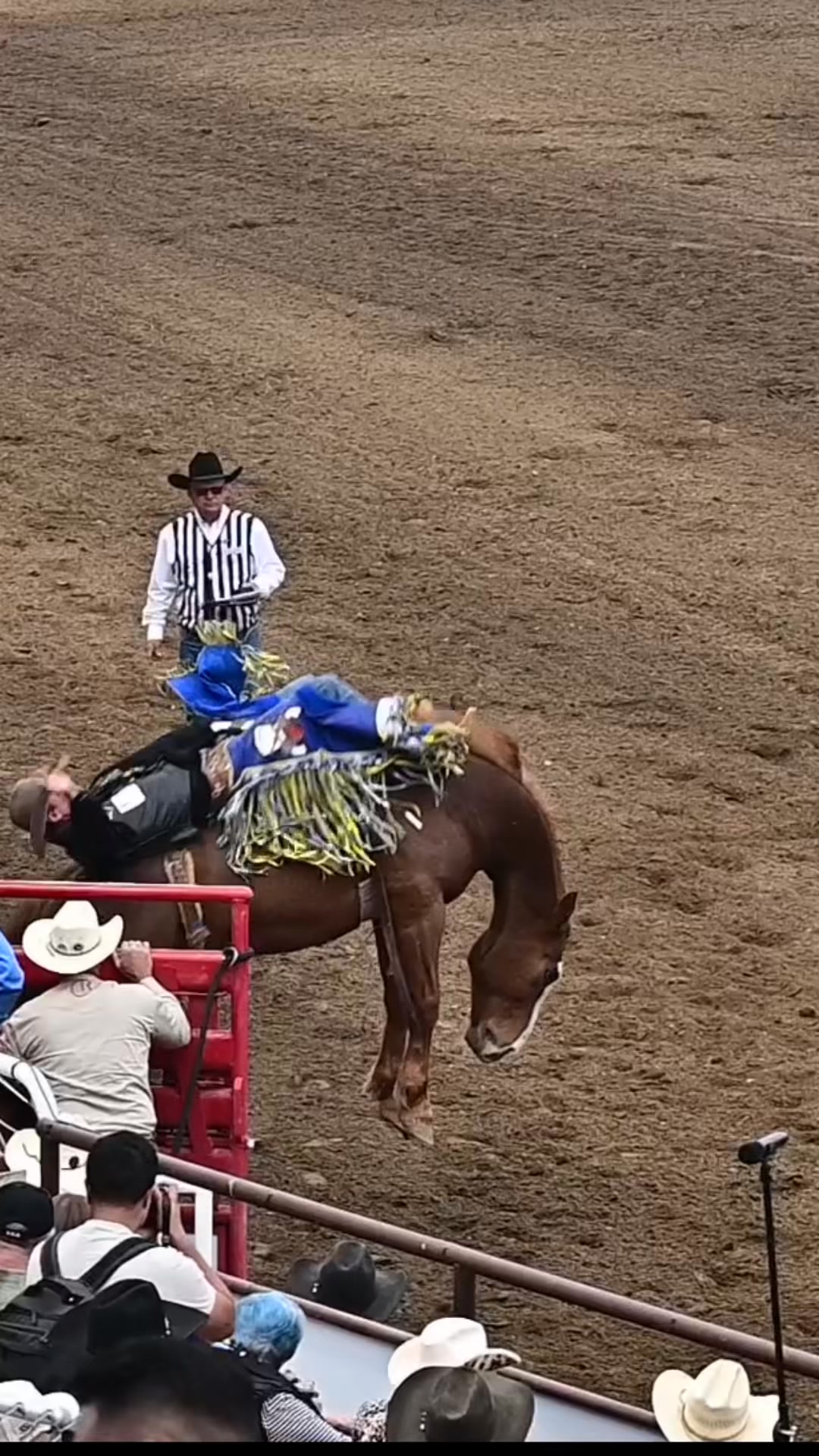 Gem State Classic Pro Rodeo | Blackfoot ID