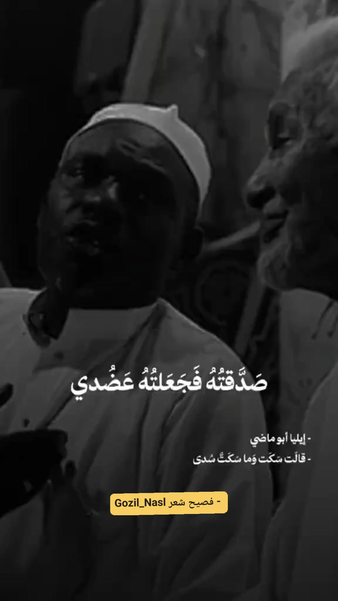 وقعُ الخطوبِ عليّ أخرســـني وكذا العواصفُ تُسْكِتُ الغَرِدا عمرو صديق ...
