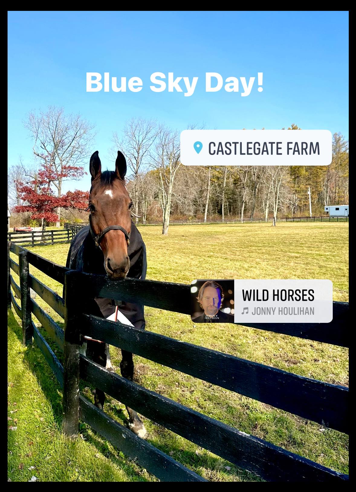 Castlegate Farm | Wellington FL