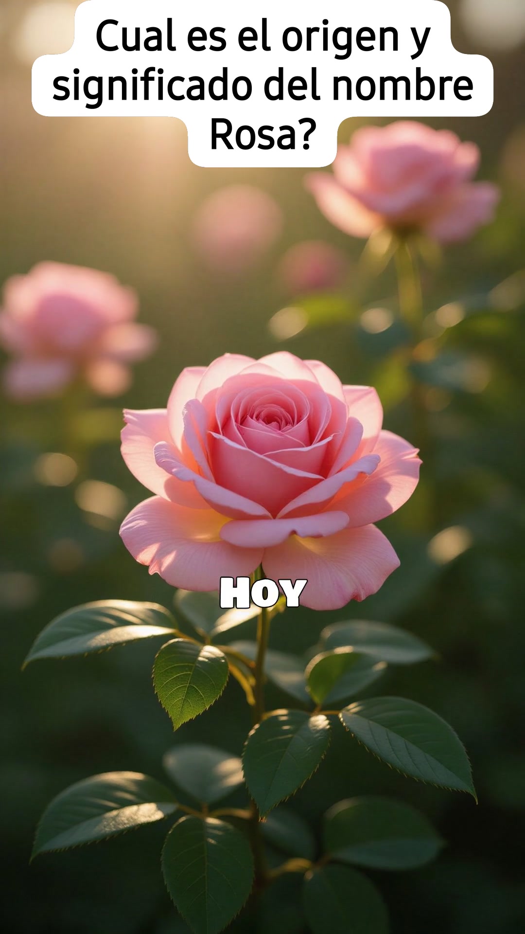 Hoy conoceremos la historia de un nombre que es simple en sonido, pero ...