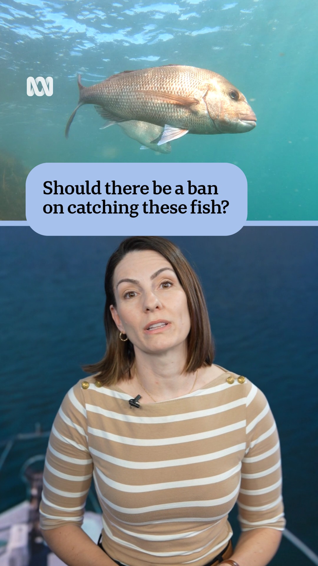 Should there be a ban on catching dhufish and pink snapper in WA? A ...